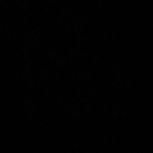 Meet your Posher, Melvin